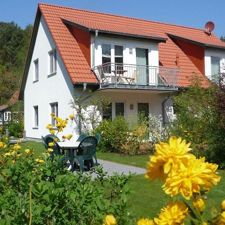 Steinbock-Ferienwohnungen Kölpinsee Екстериор снимка