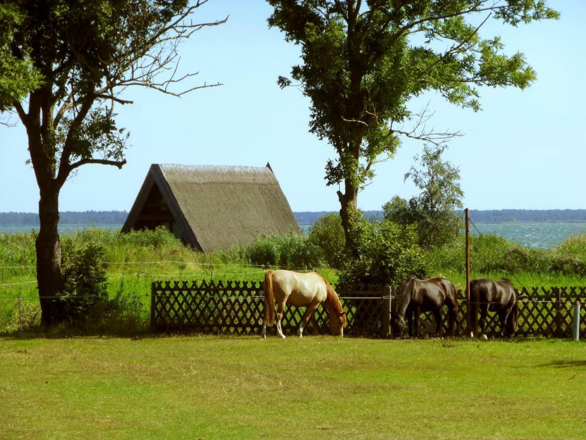 Steinbock-Ferienwohnungen Kölpinsee Екстериор снимка