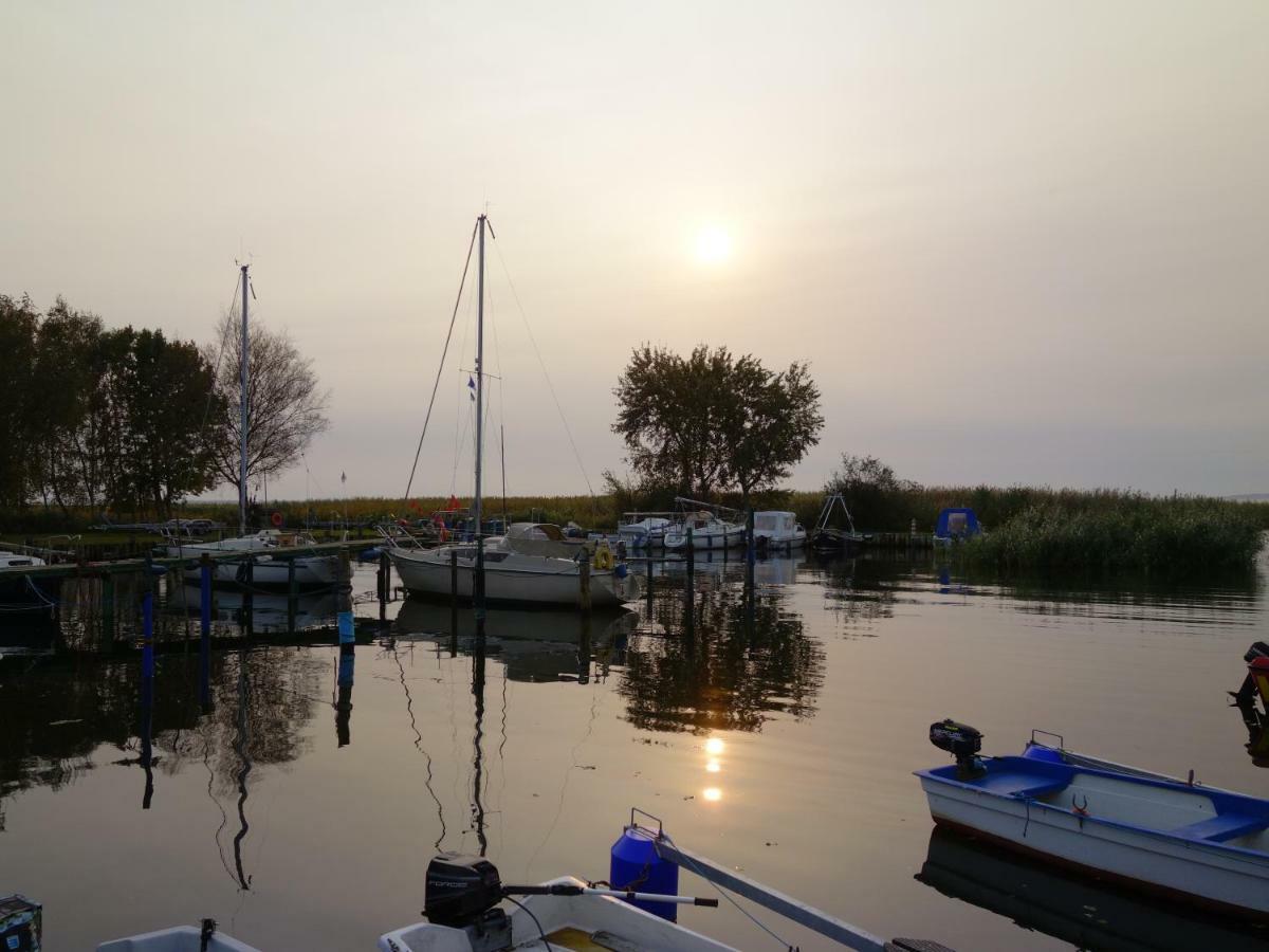 Steinbock-Ferienwohnungen Kölpinsee Екстериор снимка